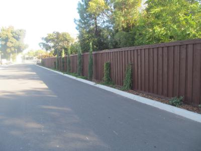 Custom Fences